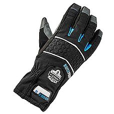 Ergodyne Thermal Gloves