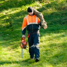 Arborist Work Gloves