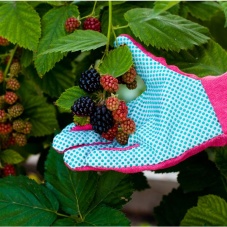 Bramble Proof Gloves