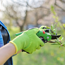 Breathable Gloves