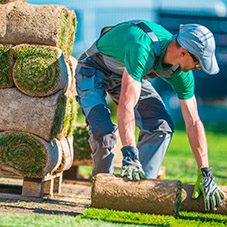 Landscaping Work Gloves