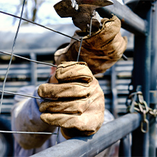 Cowhide Rigger Gloves