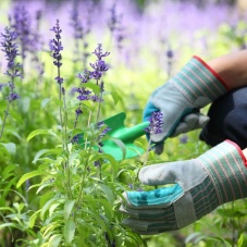 Gardening Gloves