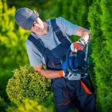 Hedge Trimming Gloves