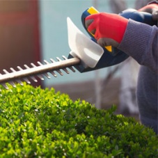 Hedge Laying Gloves