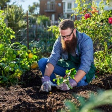 Landscaping Gloves