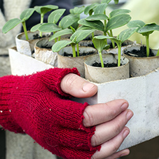 Thermal Fingerless Work Gloves