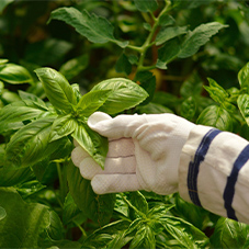 Vegan Work Gloves