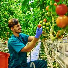 Farming Work Gloves