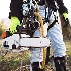 Chainsaw Gloves