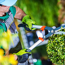 Greenkeeping Work Gloves