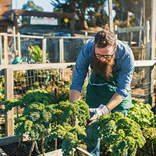 All Gardening Work Gloves