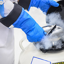 Cryogenic Work Gloves
