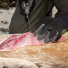 Filleting Gloves