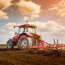 Agricultural Work Gloves