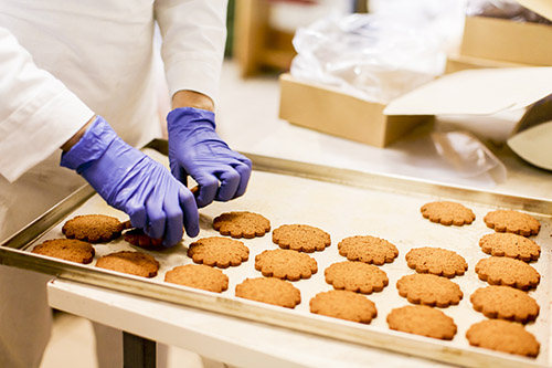 Food Use Disposable Glove in Factory