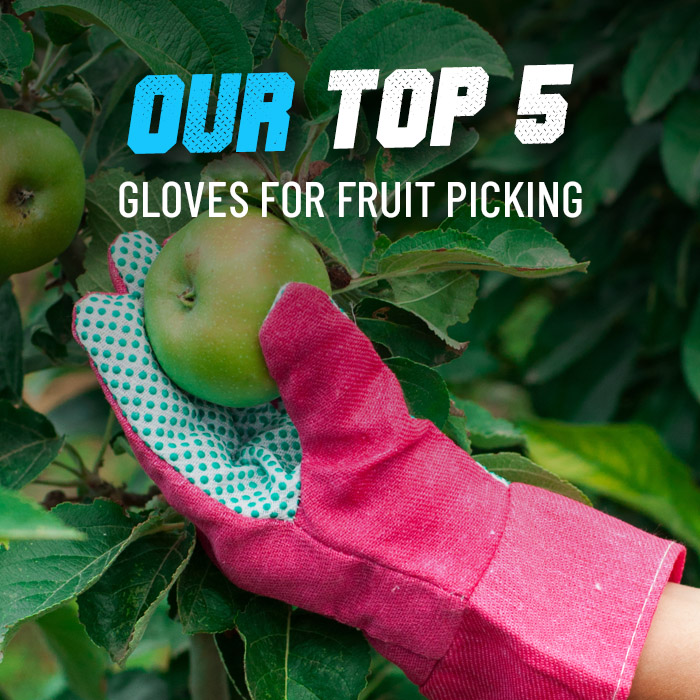 Fruit picking gloves top 5