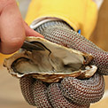 Best Oyster Shucking Gloves