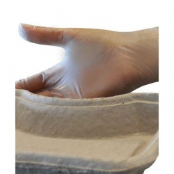 Polyco Bodyguards GL622 Clear Vinyl Powder-Free Disposable Gloves