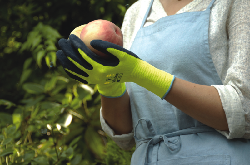 Fruit Picking