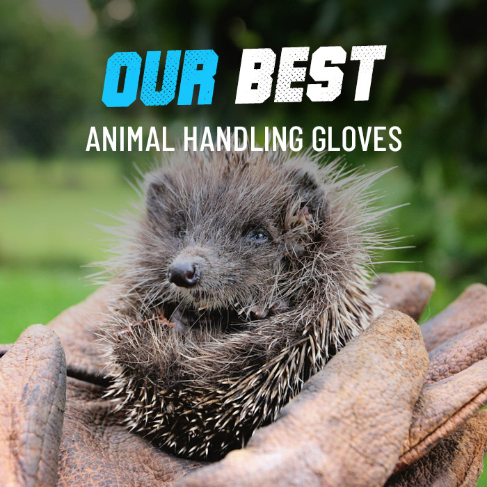 Our best animal handling gloves