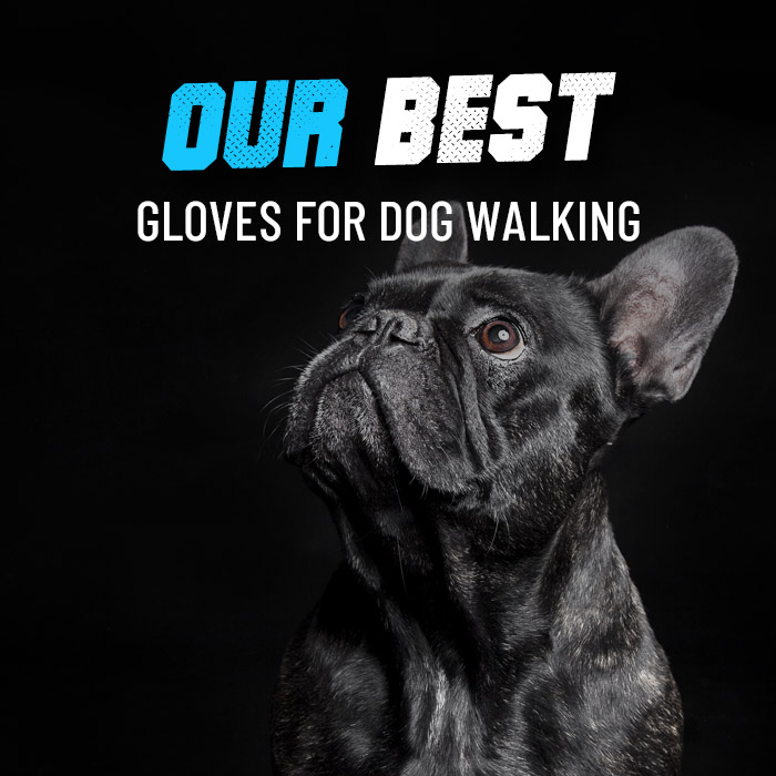 Top 5 dog walking gloves